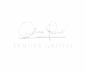 logo bianco