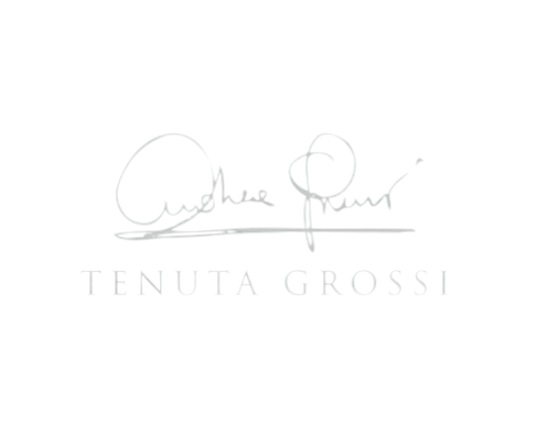 logo bianco